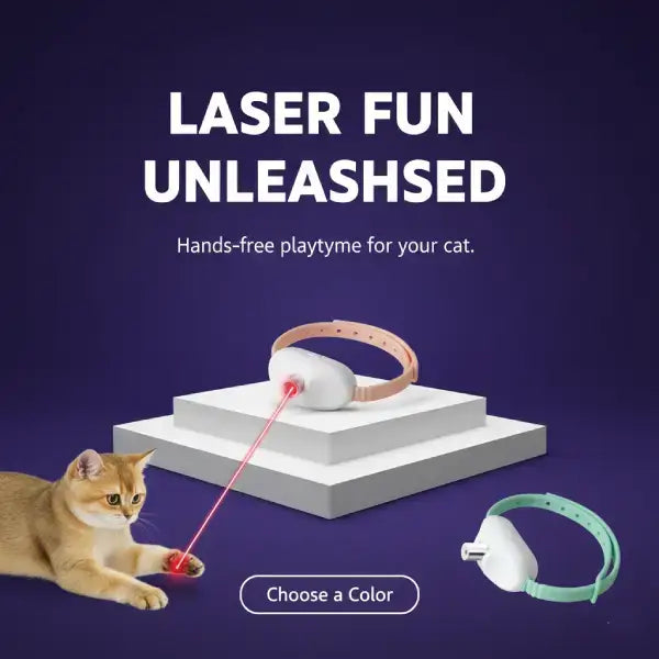 Promotional image of smart laser cat collar encouraging interactive play while owner is away.