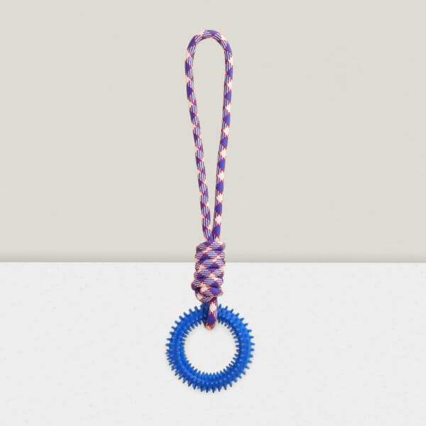 Textured blue Ringy toy for stimulating healthy chewing habits.