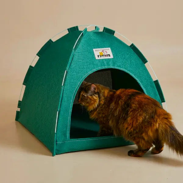  Indoor cat cave tent in dark green with calming enclosed space for anxious cats