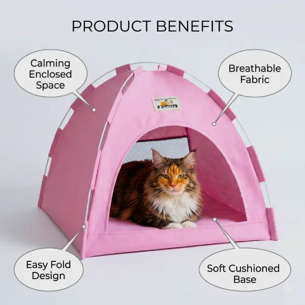 Cat cave tent key benefits: cozy cat hideout with breathable mesh, soft base and simple folding system