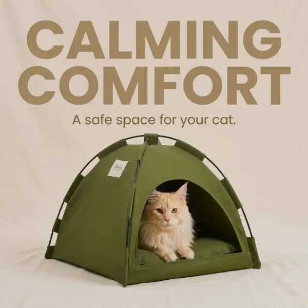 Indoor foldable cat bed tent promoting calming comfort and safe enclosed space for cats