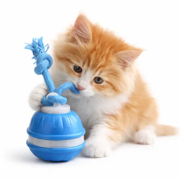 Best Toys for Anxious Cats: How to Calm Your Cat Naturally
