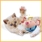 Kitten with blue eyes playing with a musical pig-shaped cat toy on a white background