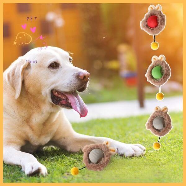 Labrador lying on grass outdoors with interactive smart ball dog toys beside it