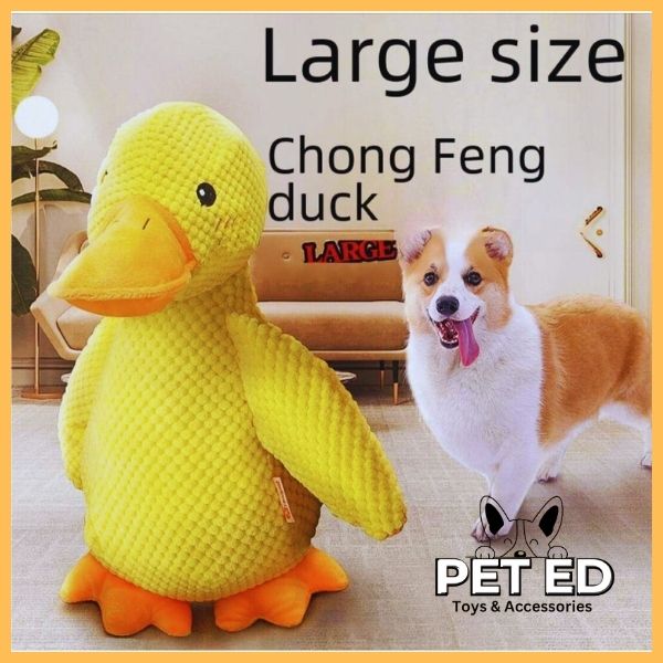 Large yellow plush duck dog toy with corgi in living room, pet accessories advertisement