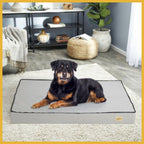 Large Rottweiler dog relaxing on a gray orthopedic cushion bed in modern living room