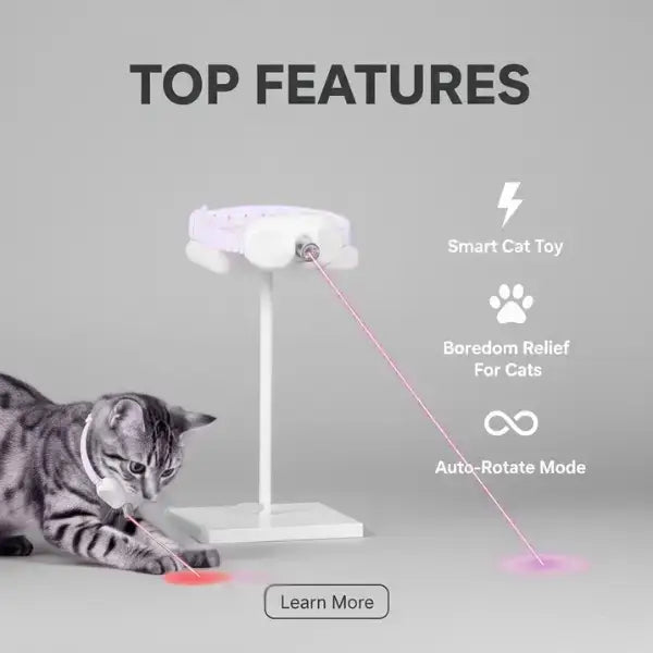 Indoor cat toy image emphasizing stimulation benefits and hands-free design.