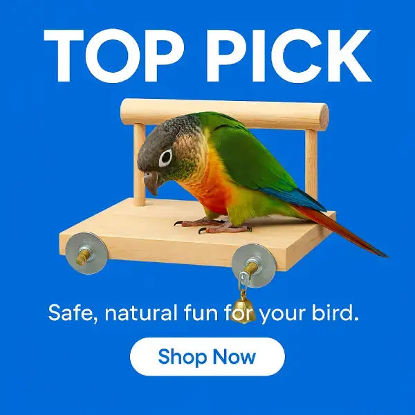 Eco-friendly bird toy for parrots with suction cup base