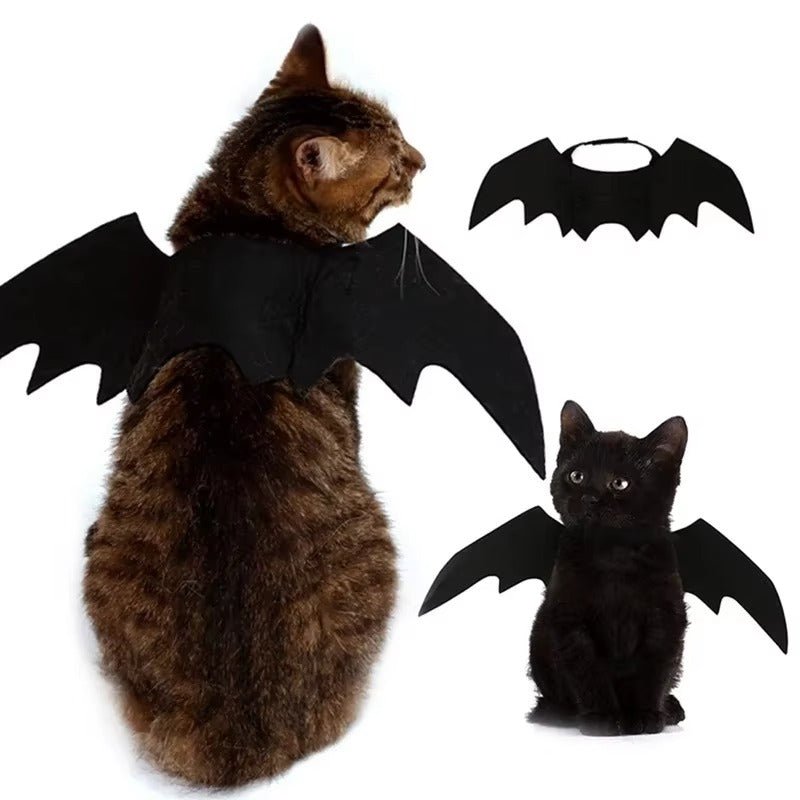 Tired of Pet Costumes That Hurt? Try This Soft Bat Wings! - Pet Store ED