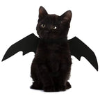 Tired of Pet Costumes That Hurt? Try This Soft Bat Wings! - Pet Store ED