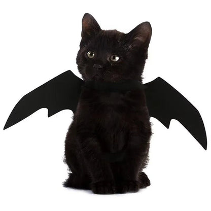 Tired of Pet Costumes That Hurt? Try This Soft Bat Wings! - Pet Store ED