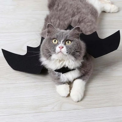 Tired of Pet Costumes That Hurt? Try This Soft Bat Wings! - Pet Store ED