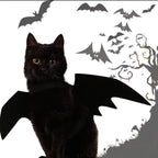 Tired of Pet Costumes That Hurt? Try This Soft Bat Wings! - Pet Store ED
