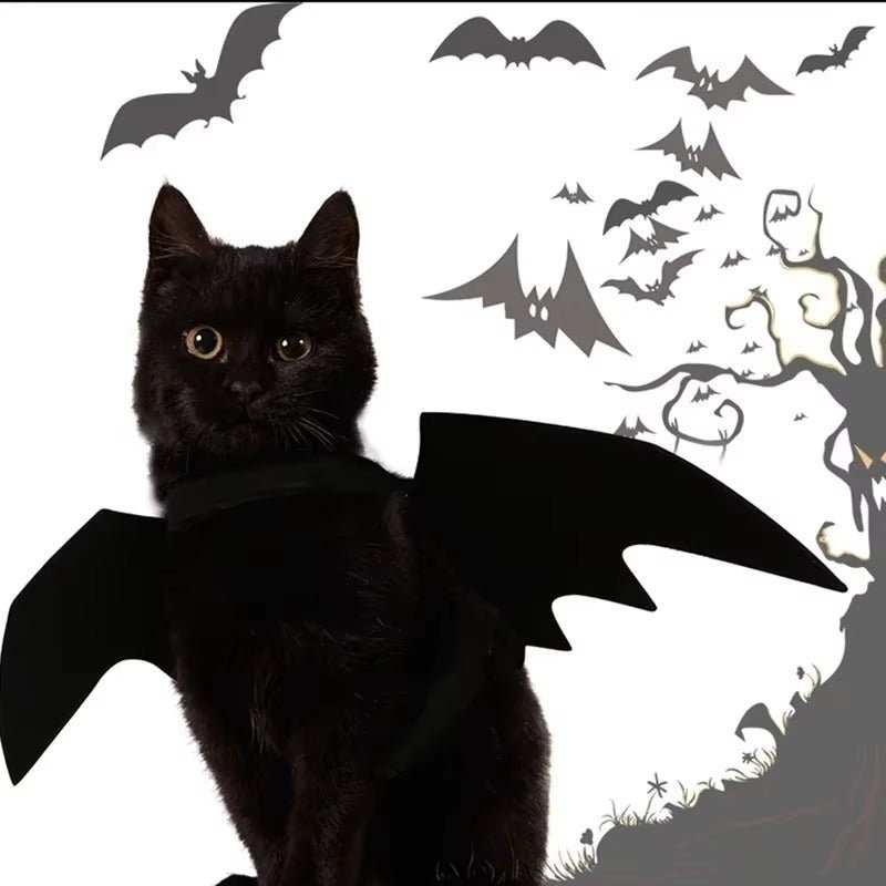 Tired of Pet Costumes That Hurt? Try This Soft Bat Wings! - Pet Store ED