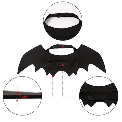 Tired of Pet Costumes That Hurt? Try This Soft Bat Wings! - Pet Store ED
