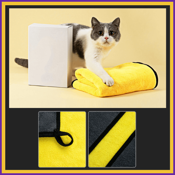 Cat with yellow microfiber pet towel and white box on yellow background