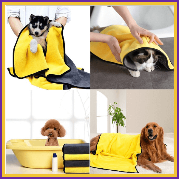 Pets with yellow microfiber pet towels, dogs and cat wrapped or dried after bath