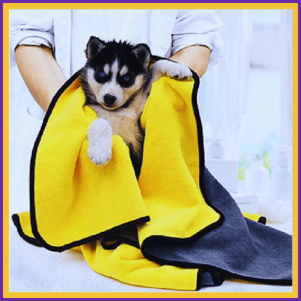 Medium dog wrapped in yellow microfiber pet towel, pet grooming setting