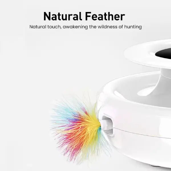 Replaceable natural feather for automatic cat toy PawSpin