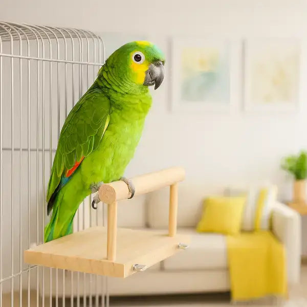 Large parrot resting on wooden perch in modern home