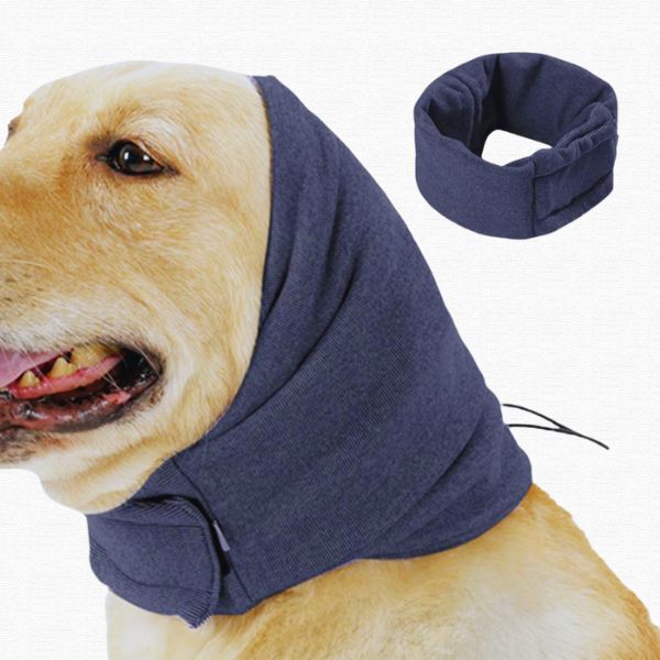 Dog wearing noise reduction ear covers, with an extra navy ear wrap shown on the side