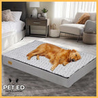 Golden retriever sleeping on orthopedic dog cushion bed in modern bedroom