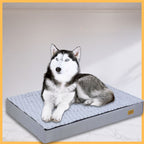 Husky dog resting on gray orthopedic dog cushion in a modern indoor setting
