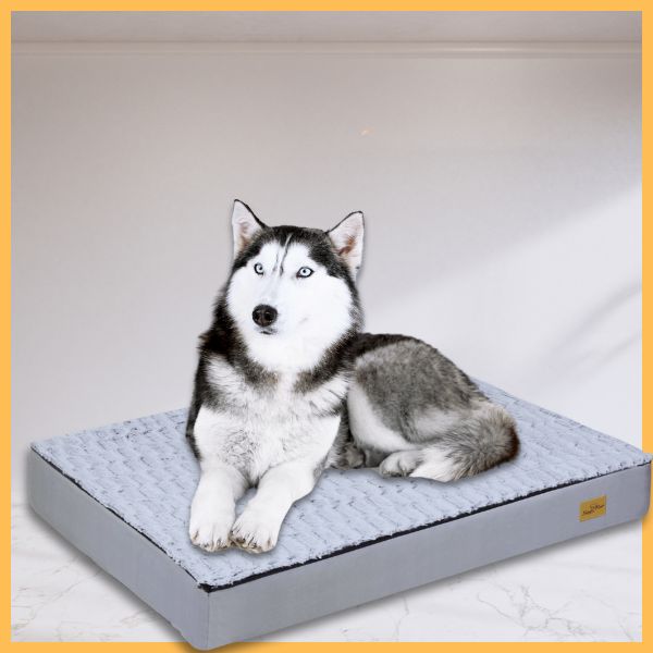 Husky dog resting on gray orthopedic dog cushion in a modern indoor setting