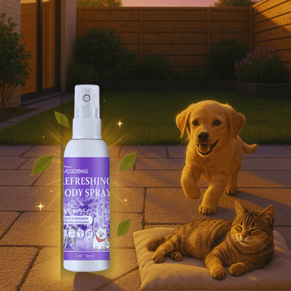 Happy puppy playing while cat relaxes on cushion outdoors next to glowing Pet Store ED calming spray