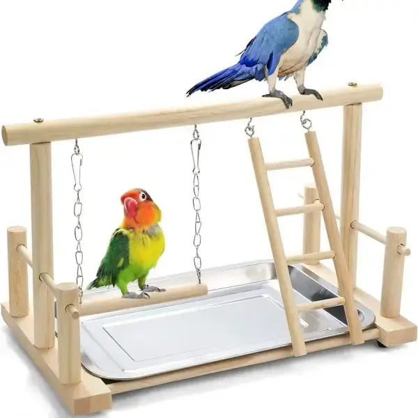 2 birds playing on swing and ladder parrot stand