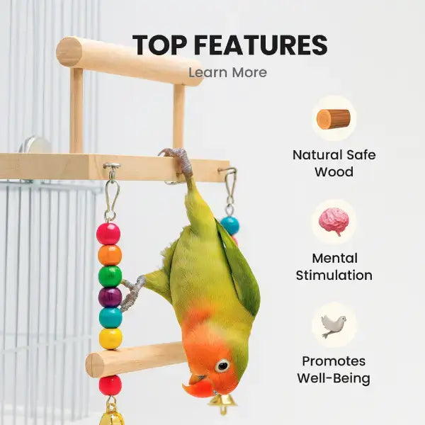 Natural wooden parrot toy promoting well-being
