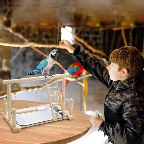 colorful perch toy for conures and lovebirds