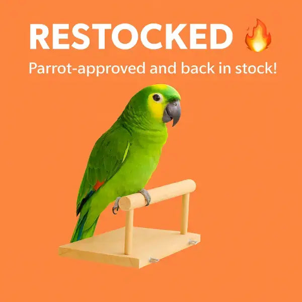 Wooden bird toy approved by parrots in Europe