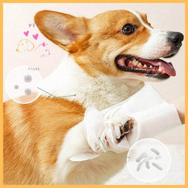 Happy corgi with paw in white pet wash glove, paw cleaning product for dogs