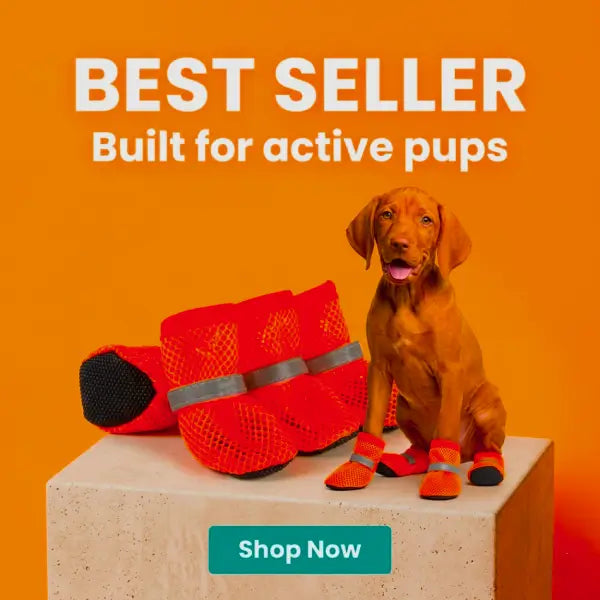 PawAir Boots best seller banner — comfortable dog boots with non-slip sole for everyday walks