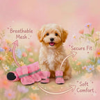 PawAir dog boots breathable mesh secure fit — comfortable paw protection for Poodles and small breeds