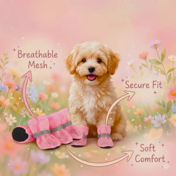 PawAir dog boots breathable mesh secure fit — comfortable paw protection for Poodles and small breeds