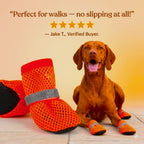 PawAir breathable dog boots customer testimonial — comfortable dog boots that stay on during walks
