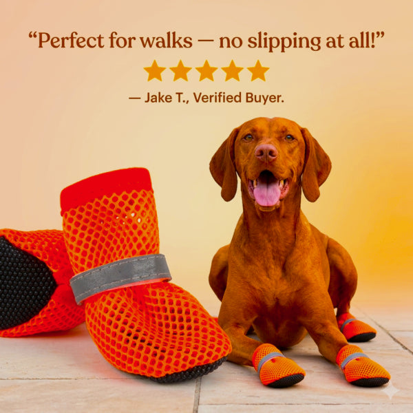 PawAir breathable dog boots customer testimonial — comfortable dog boots that stay on during walks