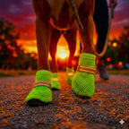 PawAir Boots lifestyle — breathable dog shoes with reflective strap during evening walk
