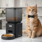 Programmable automatic cat feeder with dry kibble bowl and orange cat in kitchen