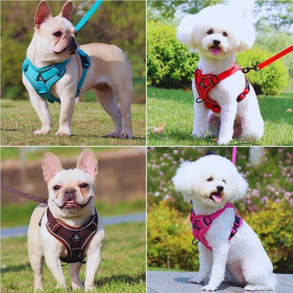Reflective dog harness for playful and safe outdoor walks