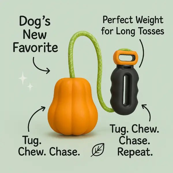 Dog toy for big dogs with a pumpkin head built for tug, chew and long tosses