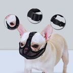 Best Muzzle for Short Snout Dogs – Frenchies & Pugs - Pet Store ED