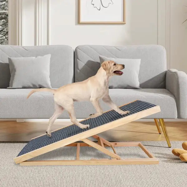 pet stairs for bed and sofa — Labrador climbing confidently indoors