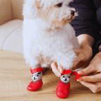 Tired of Cleaning Your Dog’s Wet & Dirty Paws? Try This! - Pet Store ED