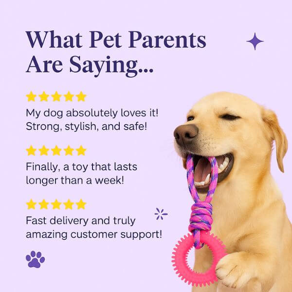 Customer feedback highlights Ringy as the best interactive dog toy for pets.
