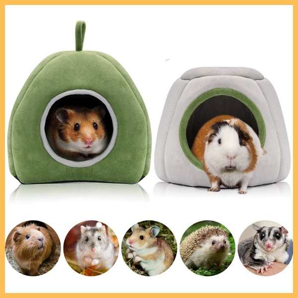 Guinea pig in a gray pet warm nest and hamster in a green bed with small pets below