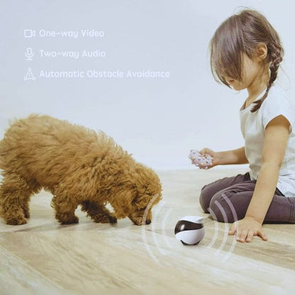 PetGuard Pro automatic obstacle avoidance with dog and girl