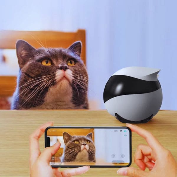 Stop Pet Anxiety: The Smart Camera Robot That Protects & Connects - Pet Store ED